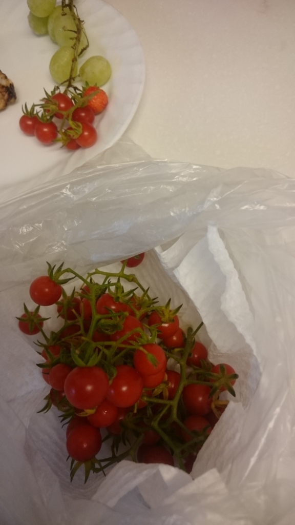 f:id:eatgarden:20160813145751j:plain f:id:eatgarden:20160813145751j:plain