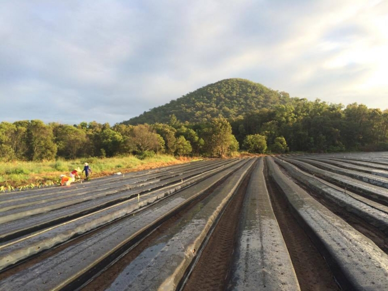 f:id:eatwalker:20170322144042j:plain