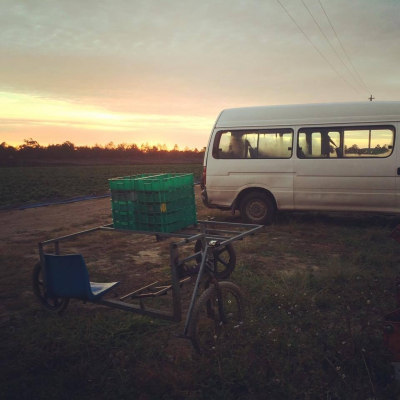 f:id:eatwalker:20170322144903j:plain