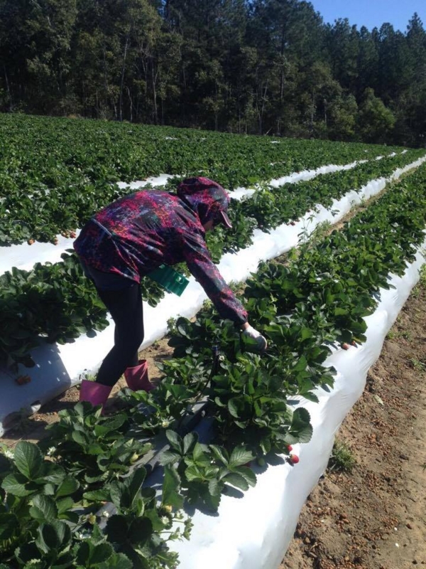 f:id:eatwalker:20170322144905j:plain