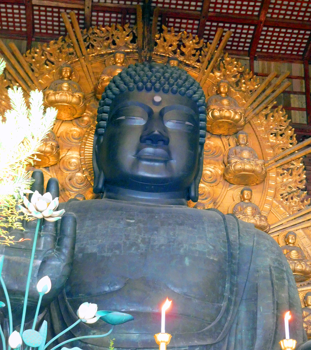 f:id:ebacciblog:20200611122125j:plain f:id:ebacciblog:20200611122125j:plain