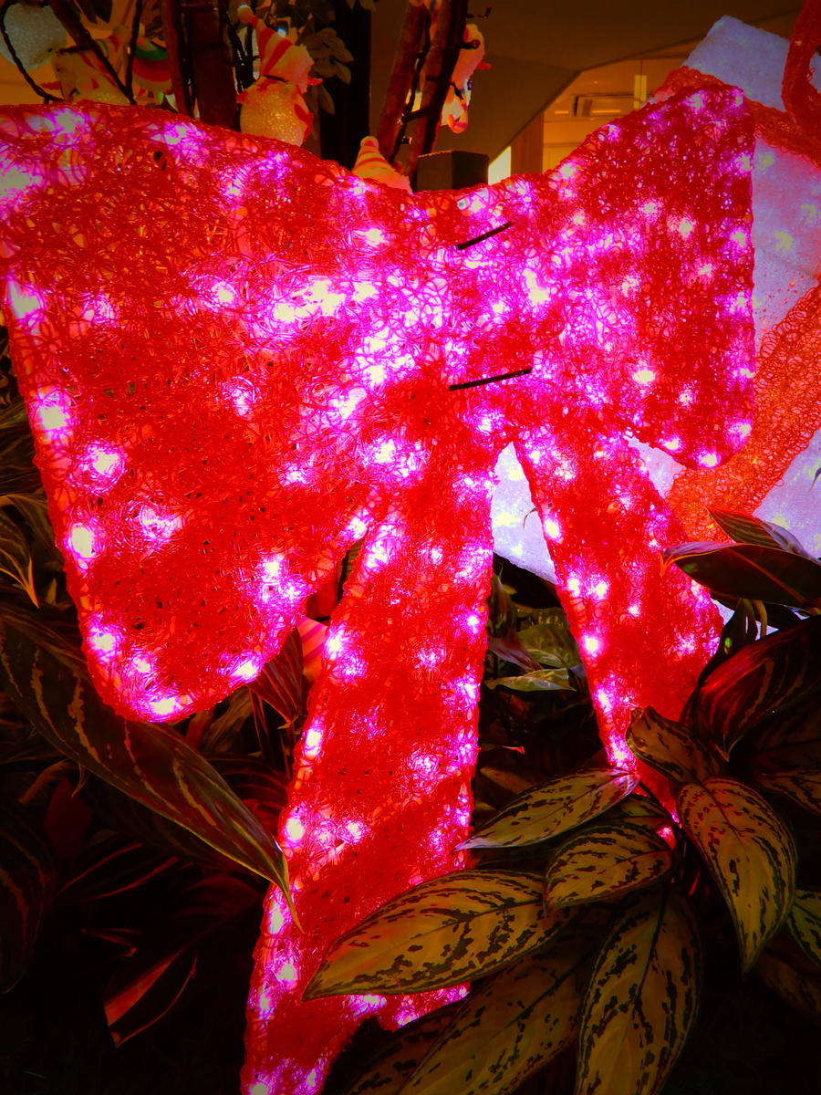 f:id:ebacciblog:20201225222518j:plain