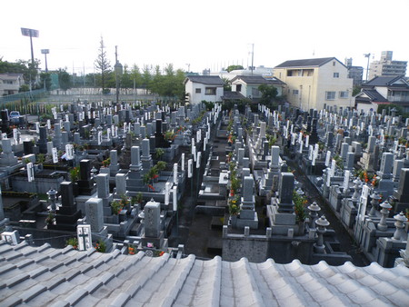 f:id:ebapon:20080813171435j:image f:id:ebapon:20080813171435j:image