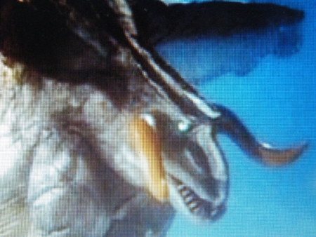 f:id:ebapon:20081120220313j:image