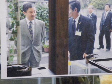 f:id:ebapon:20081124162246j:image
