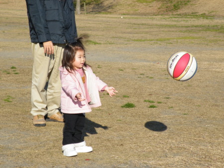 f:id:ebapon:20081228150132j:image