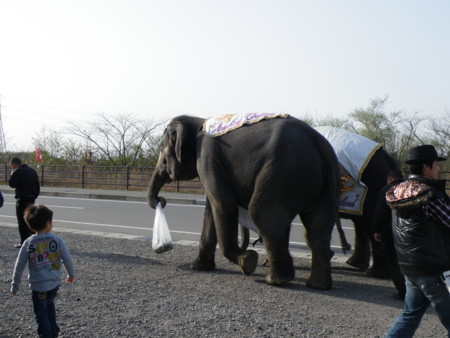 f:id:ebapon:20090316160816j:image