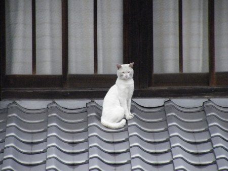 f:id:ebapon:20090705175436j:image