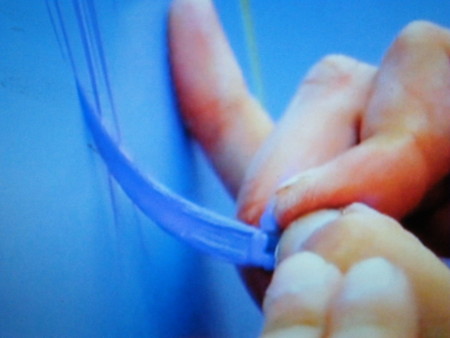 f:id:ebapon:20090805231400j:image f:id:ebapon:20090805231400j:image
