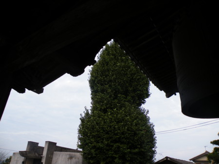 f:id:ebapon:20090927062332j:image