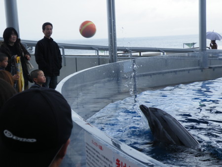 f:id:ebapon:20100211142744j:image