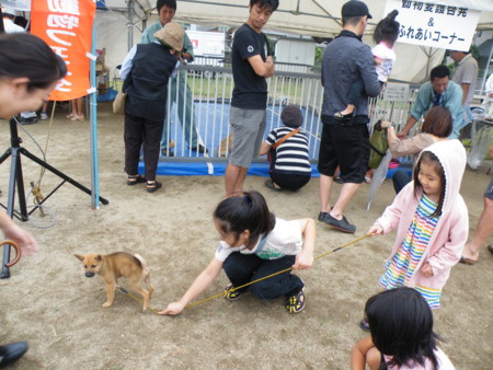 f:id:ebapon:20100924200032j:image f:id:ebapon:20100924200032j:image