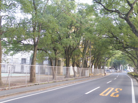 f:id:ebapon:20101122202919j:image