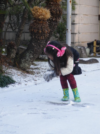 f:id:ebapon:20110116083605j:image
