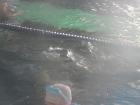 f:id:ebapon:20111123213610j:image