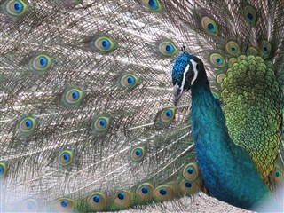 f:id:ebapon:20120117225713j:image f:id:ebapon:20120117225713j:image