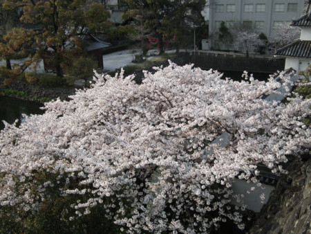 f:id:ebapon:20120408221424j:image