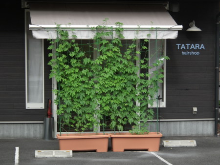 f:id:ebapon:20120718164424j:image