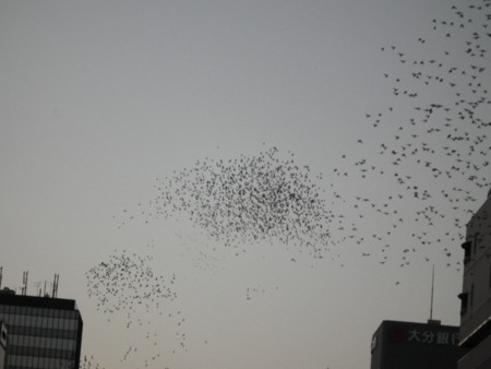 f:id:ebapon:20120803232504j:image