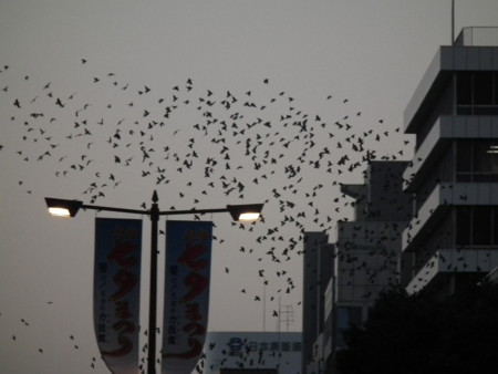 f:id:ebapon:20120803232517j:image