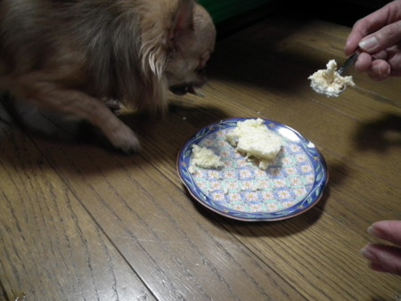 f:id:ebapon:20131113172438j:image