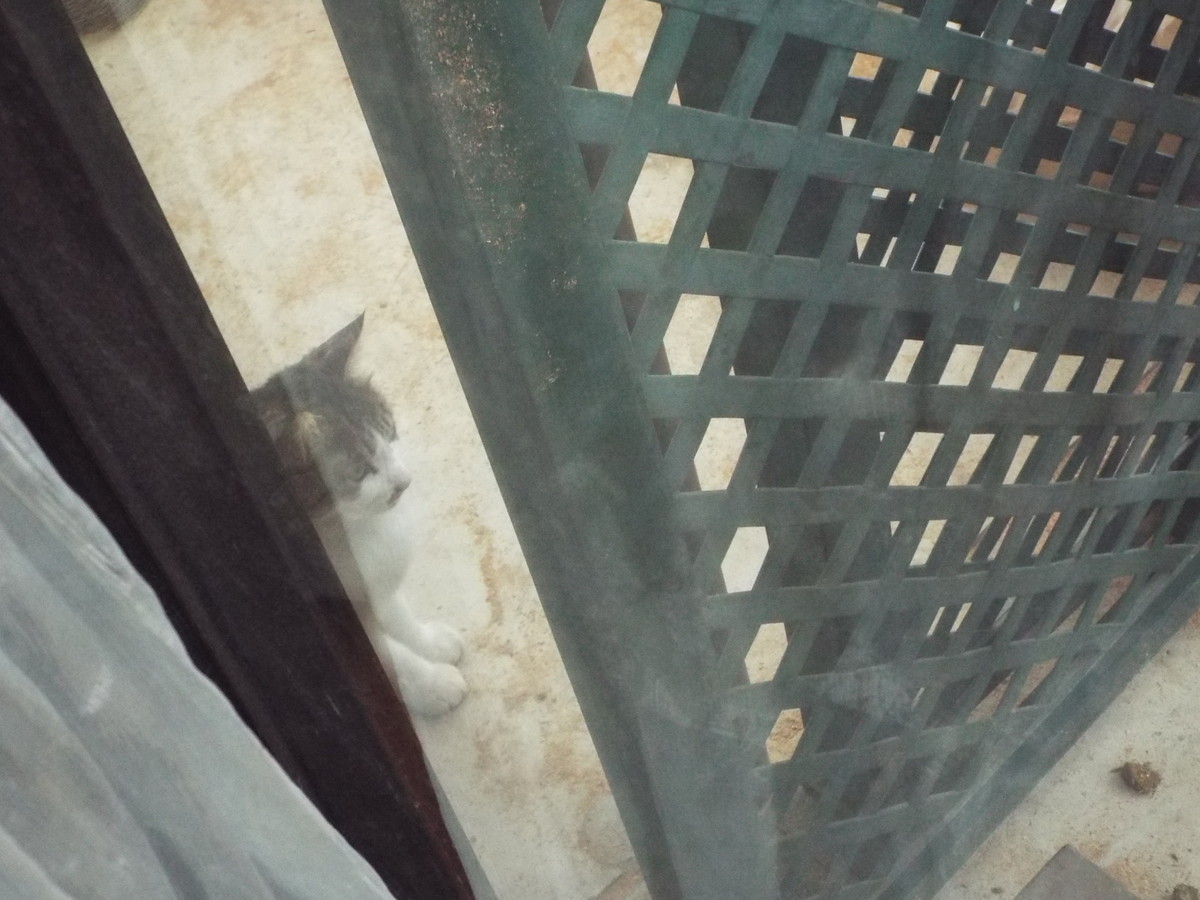 f:id:ebapon:20150101000139j:plain