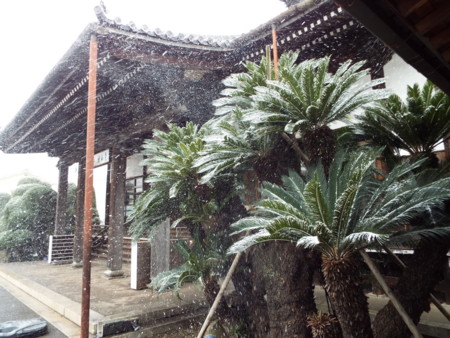 f:id:ebapon:20160116224534j:image