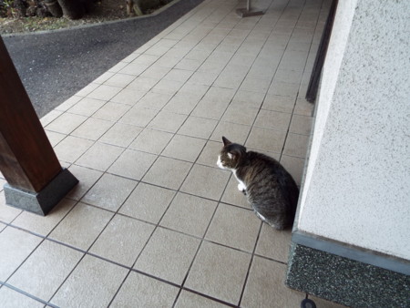 f:id:ebapon:20160116224811j:image