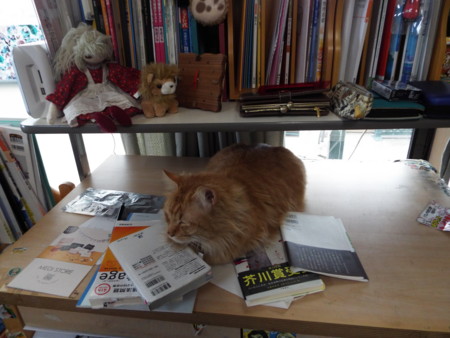 f:id:ebapon:20170118114929j:image