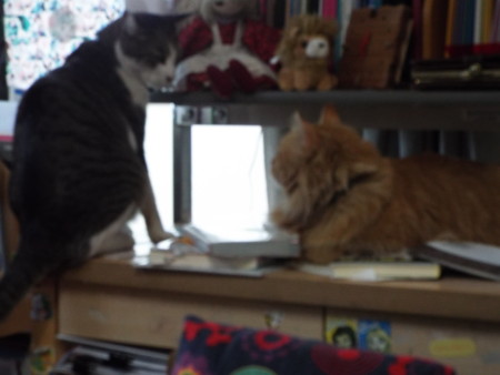 f:id:ebapon:20170118115053j:image