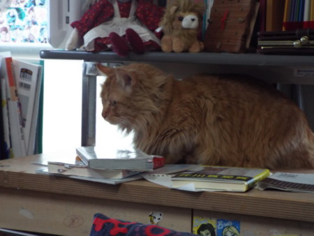 f:id:ebapon:20170118115137j:image