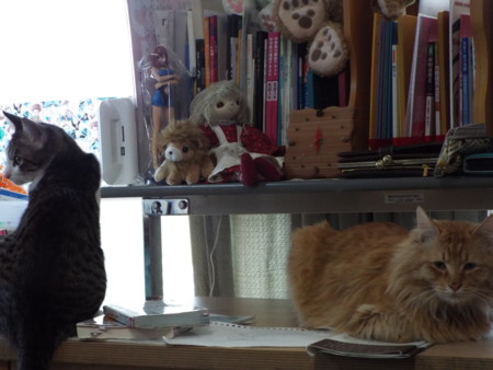 f:id:ebapon:20170118120445j:image