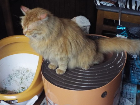 f:id:ebapon:20170802030548j:image