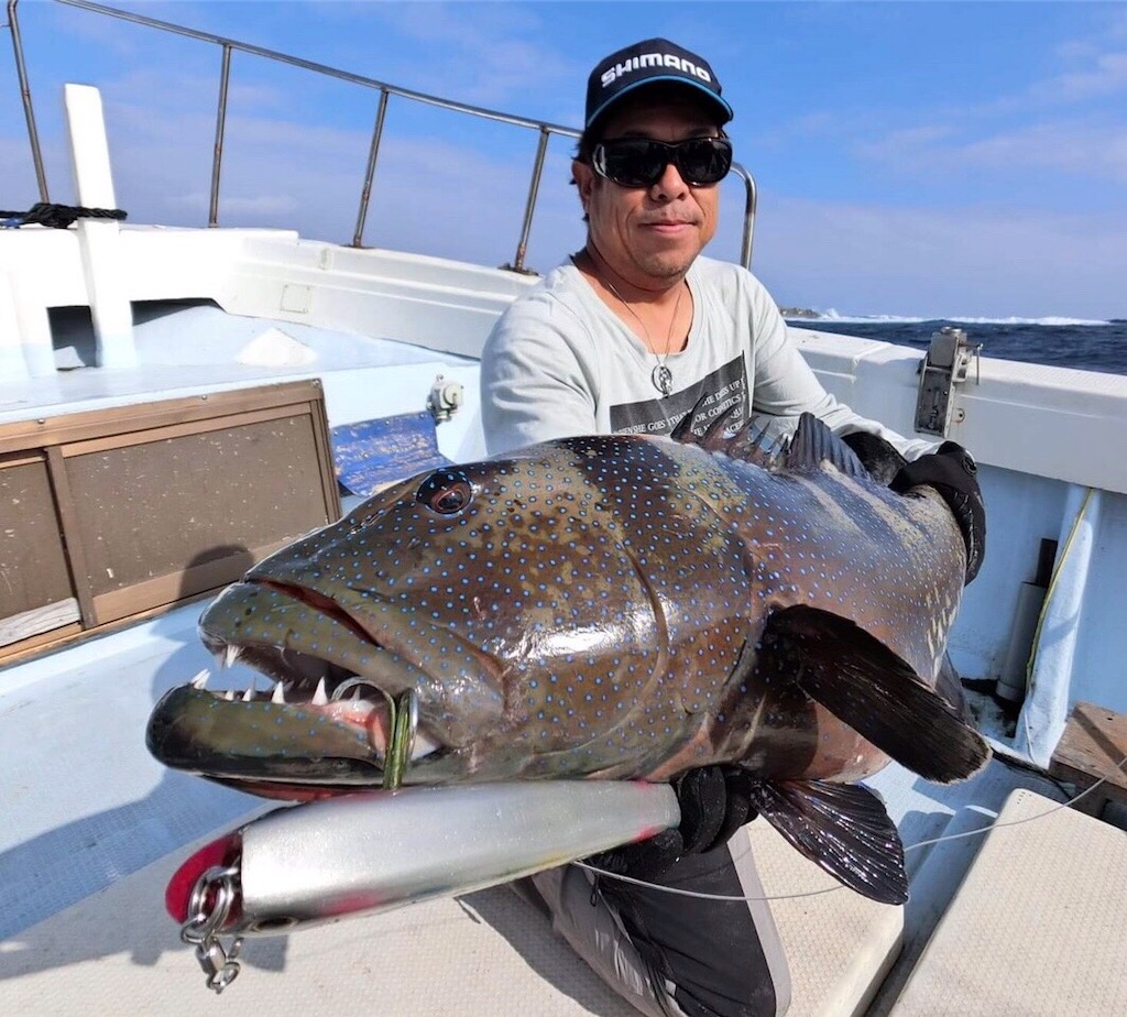 萬葉ルアー＆車谷ルアー入荷しました！ - え ぶ ろ ぐ