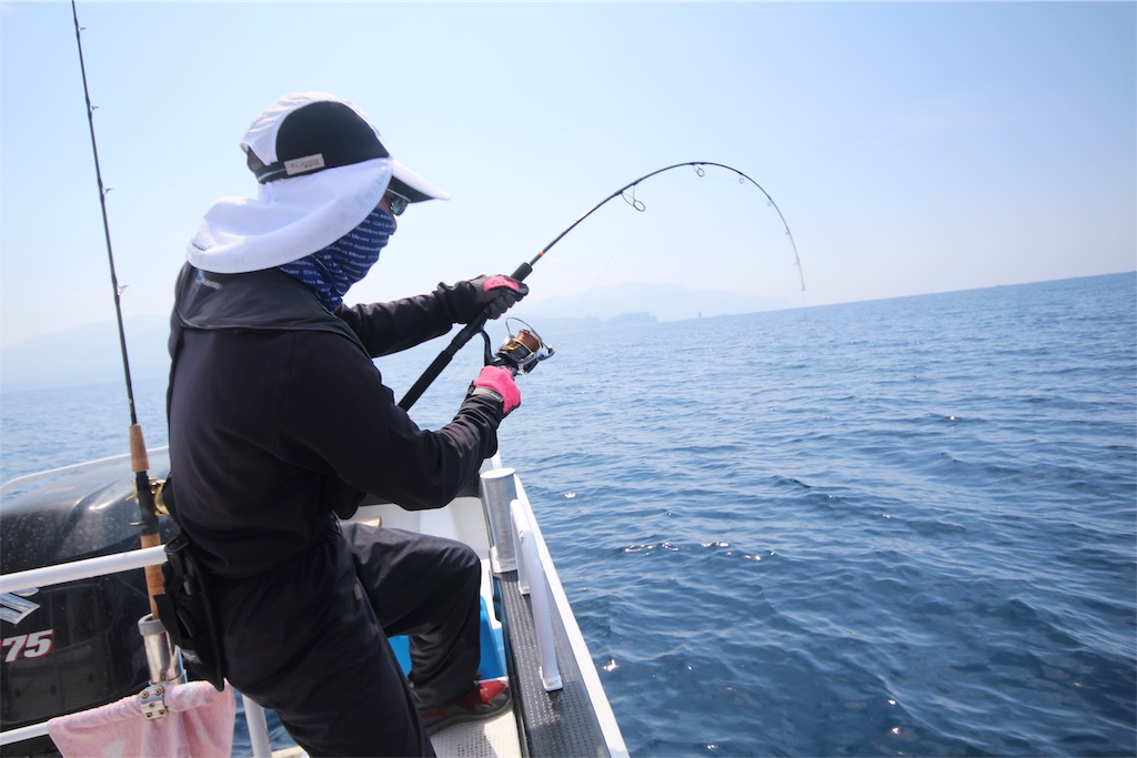 f:id:ebbflow:20190805194858j:image