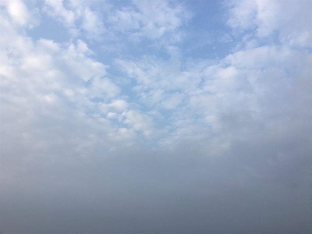 f:id:ebbflow:20191219070820j:image f:id:ebbflow:20191219070820j:image