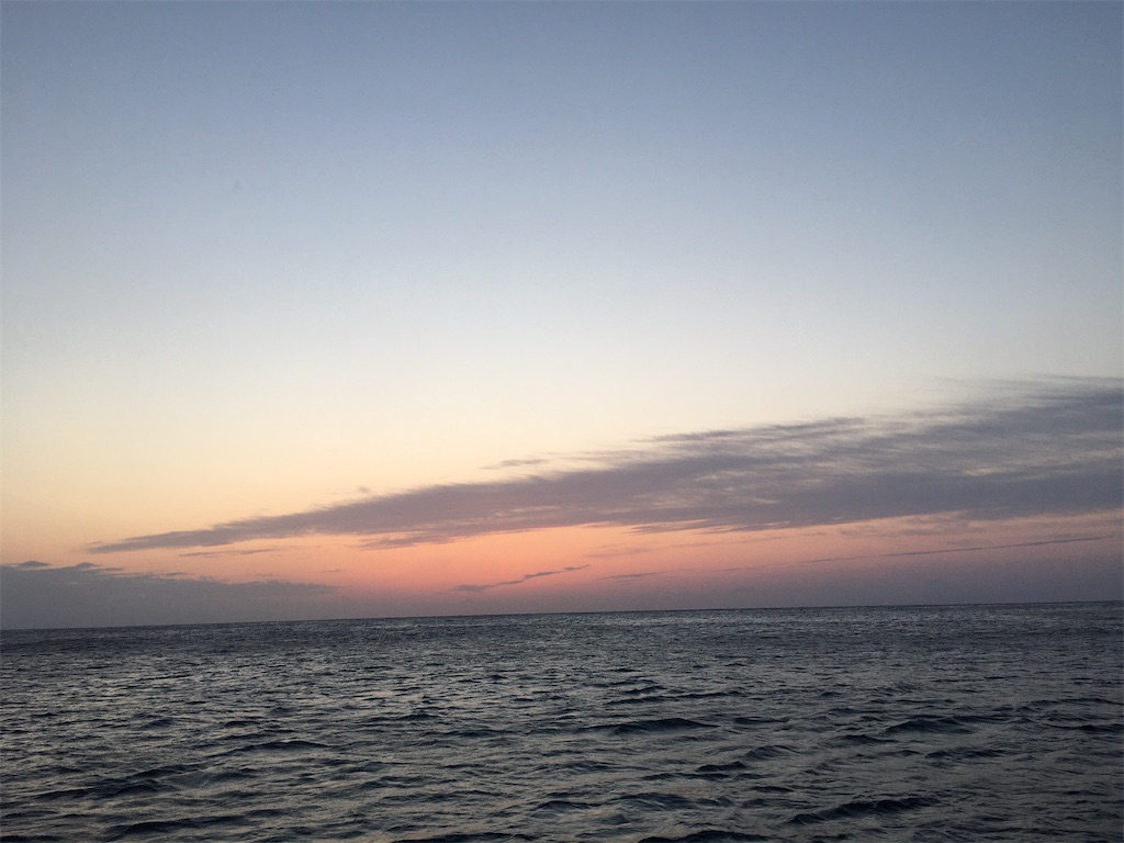 f:id:ebbflow:20210413094736j:image
