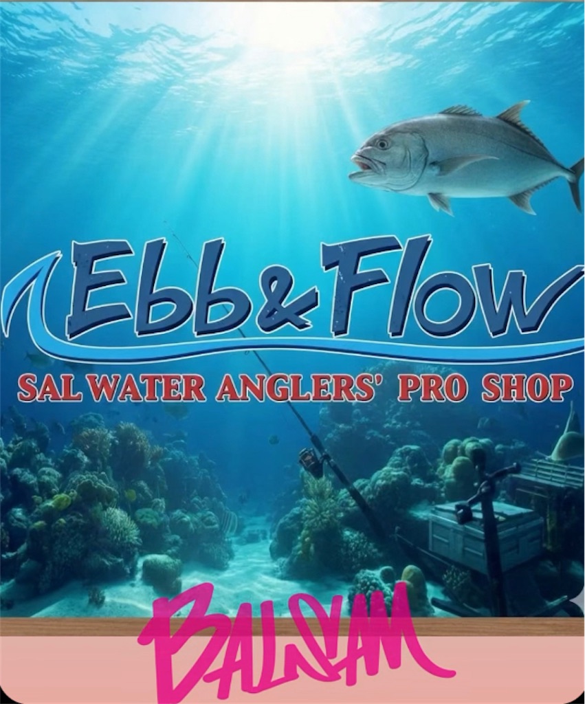 f:id:ebbflow:20260209095149j:image