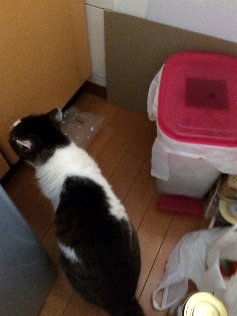 f:id:ebi2525104:20210404200535j:image f:id:ebi2525104:20210404200535j:image