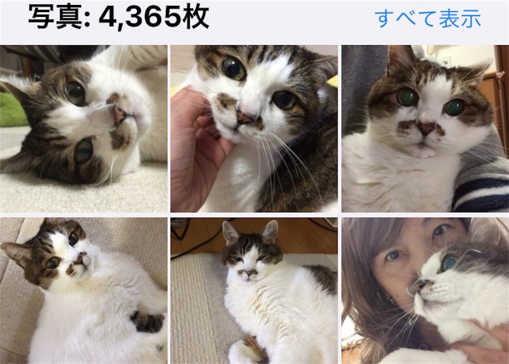 f:id:ebi2525104:20210404203718j:image f:id:ebi2525104:20210404203718j:image