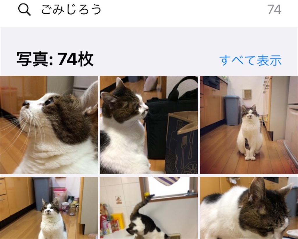 f:id:ebi2525104:20210404204350j:image f:id:ebi2525104:20210404204350j:image