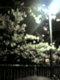 f:id:ebi2525104:20210408221639j:plain