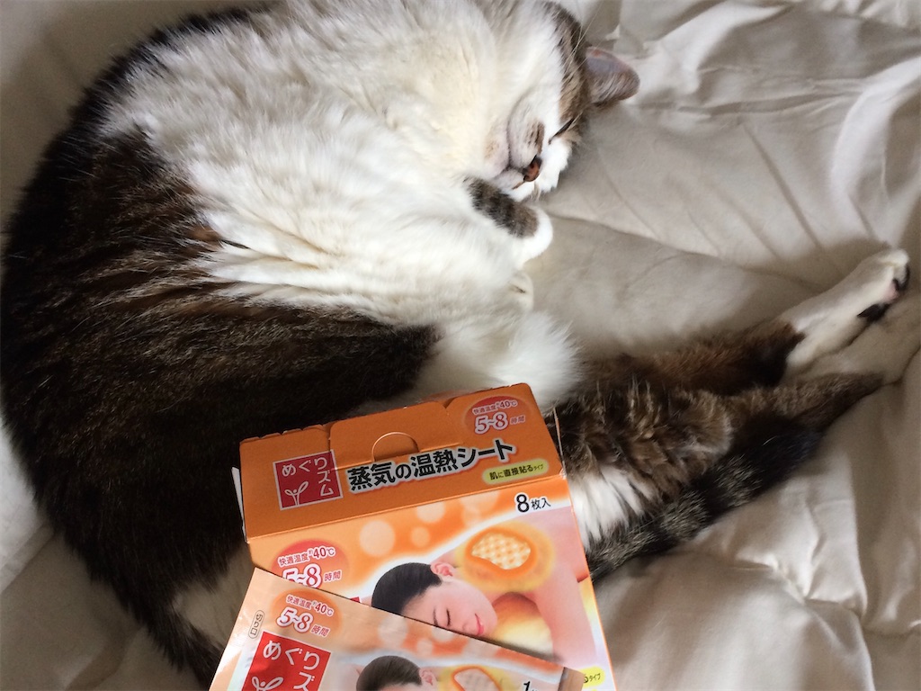 f:id:ebi2525104:20210424151934j:plain