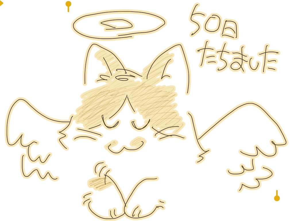f:id:ebi2525104:20210424151942j:plain