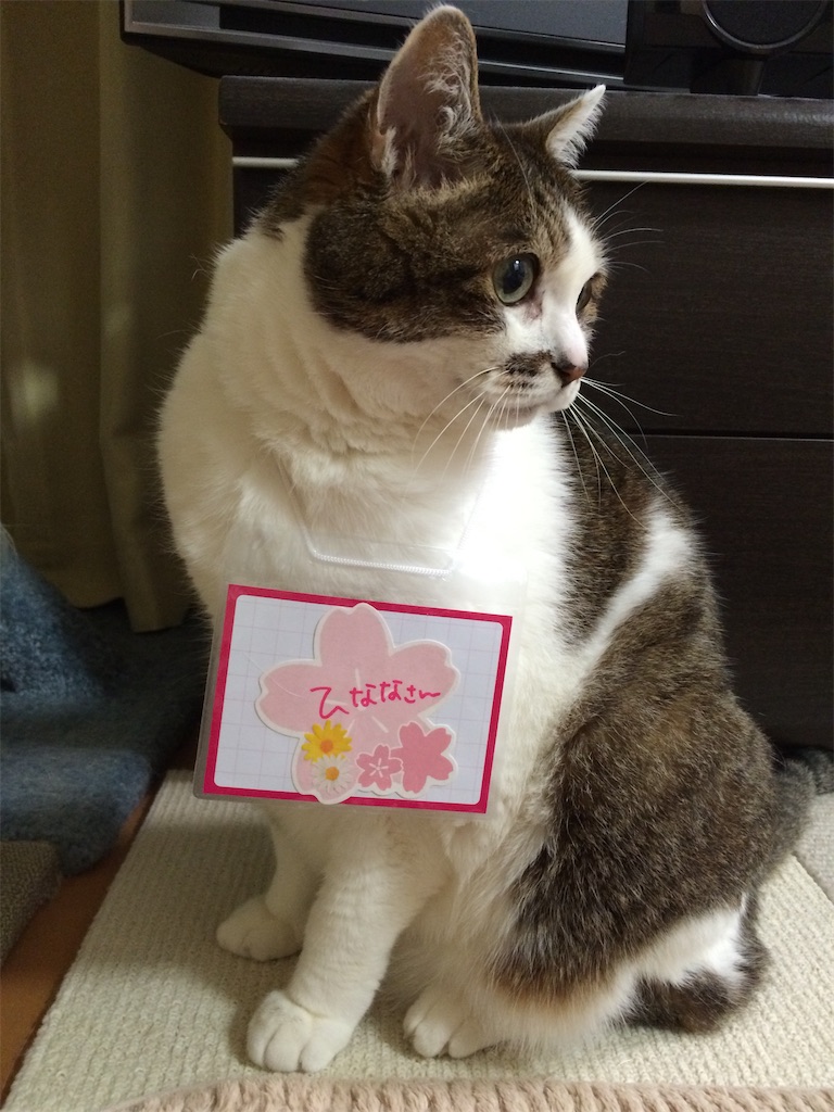 f:id:ebi2525104:20210506173828j:plain