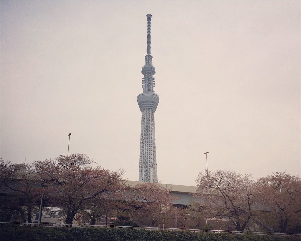 f:id:ebi2525104:20210506175113j:plain