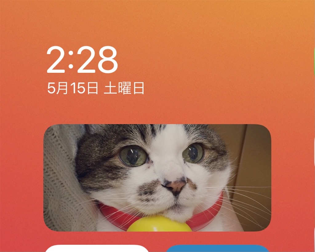 f:id:ebi2525104:20210515050653j:plain