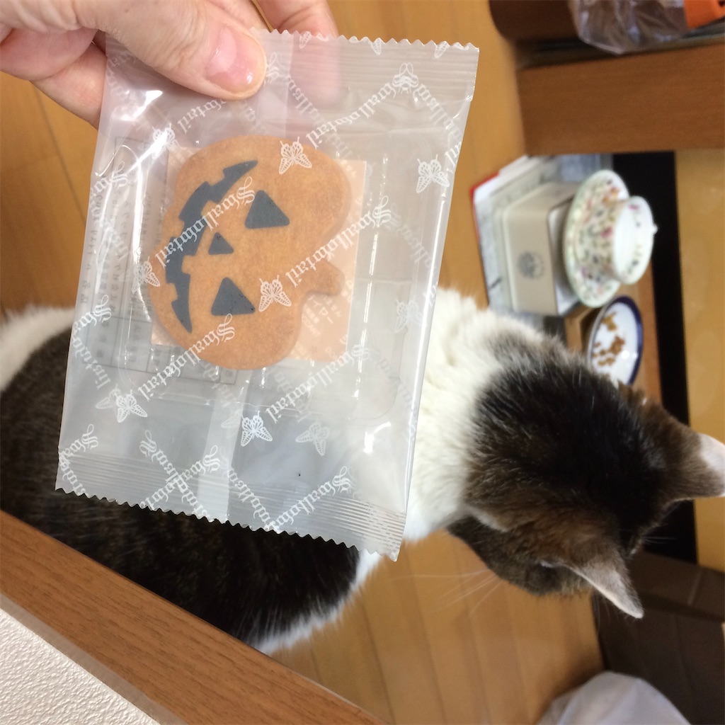 f:id:ebi2525104:20210518151520j:plain