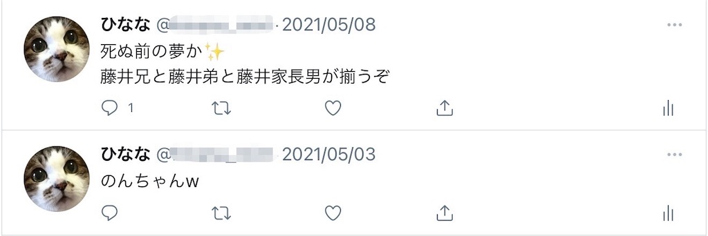 f:id:ebi2525104:20210520174527j:plain