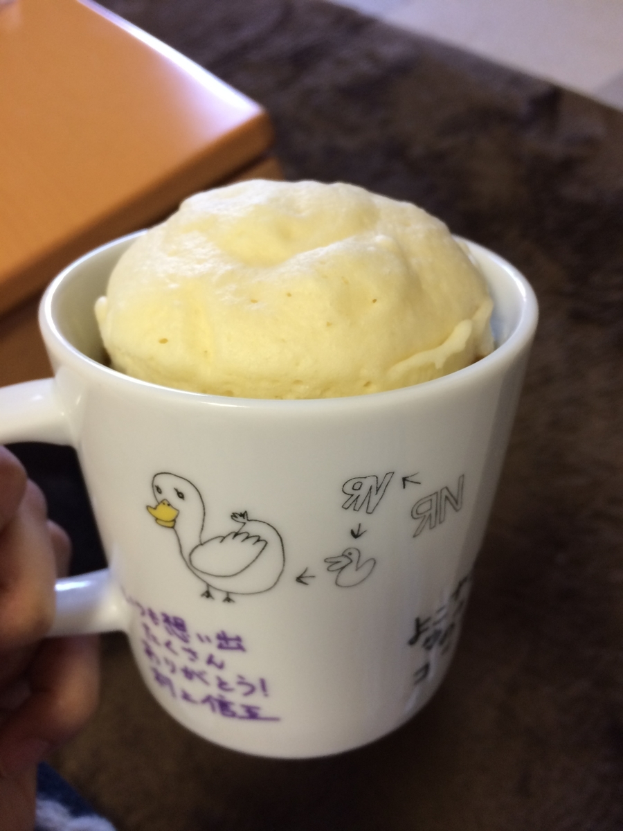 f:id:ebi2525104:20210521001647j:plain